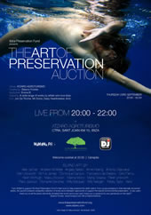 The Art of Preservation